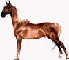 Chestnut